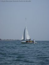 My Gallery (151/205)